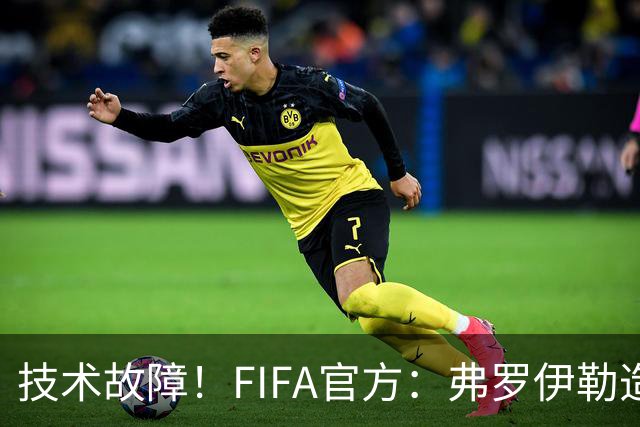 技术故障！FIFA官方：弗罗伊勒造点没有越位 瑞士进球无异议